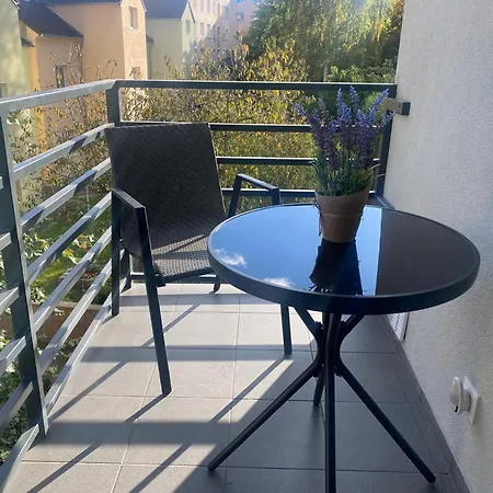 Apartment Cerna Ruze- 5