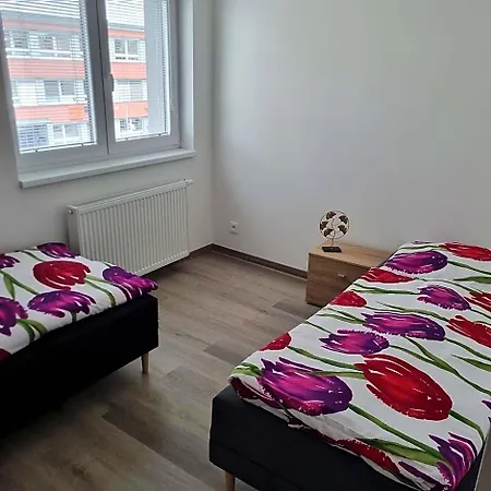 Cerna Ruze- 5 * Plzeň