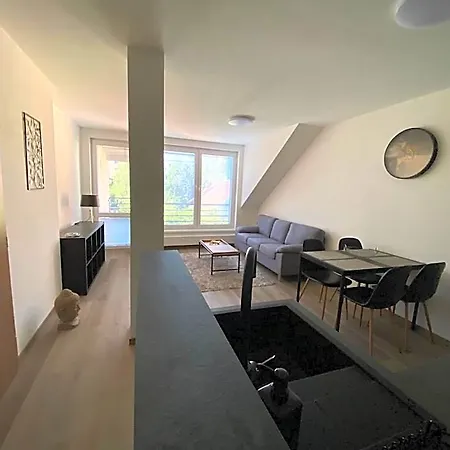 Cerna Ruze- 5 Appartement Plzeň