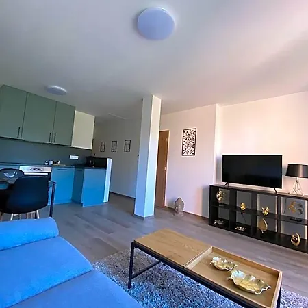 Appartement Cerna Ruze- 5 Plzeň