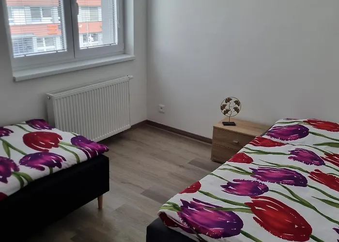černá Růže- 5 Apartmán Plzeň