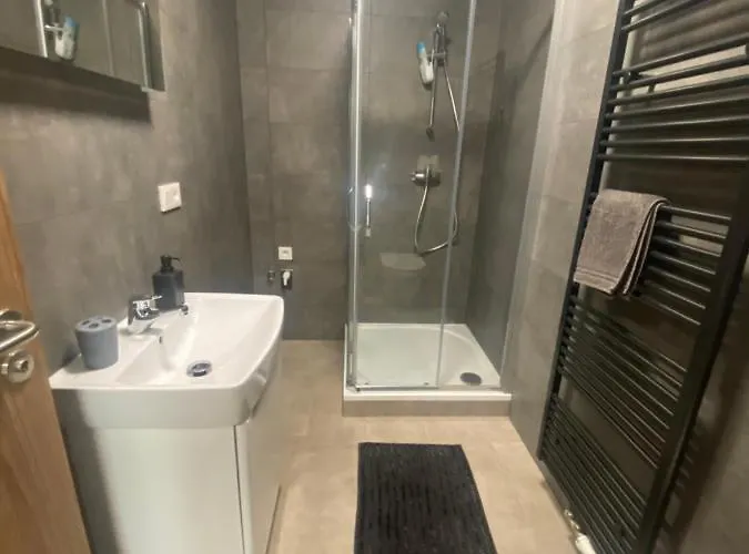 Cerna Ruze- 5 Appartement Plzeň